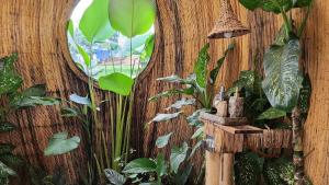 Instagenic bamboo villa
