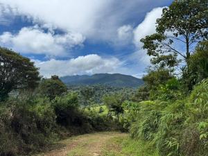 The Guayabos Cozy Country Cottage Near Rio Celeste
