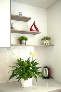 Flamingos Hải Tiến - LUXURY view biển tầng cao