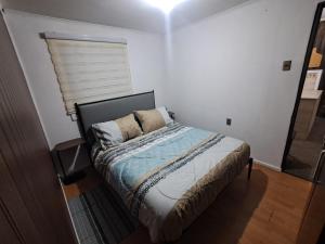 La Cabaña Magallánica 2
