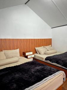 Villa Dieng Sikapuk Hill Superior Cabin