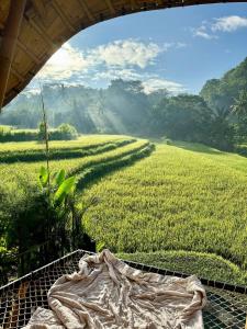 Luxury Sawah Bamboo House - Kosay Bali