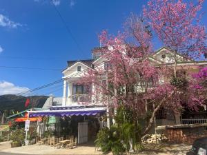 Thiên Cát Villa