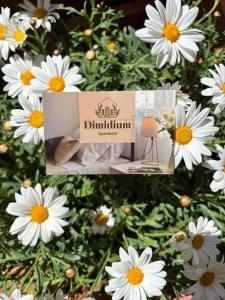 Dimidium Apartment