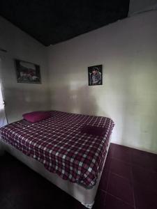 Punta Roca Surf House