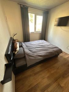 Hubane väikemaja männimetsas