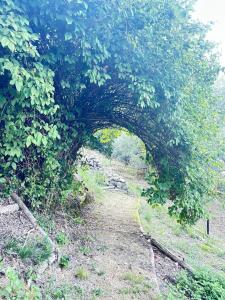 Agriturismo Il Gelsomino