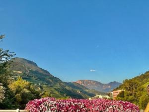 Schnitzstube Design living Kampill - Free Parking