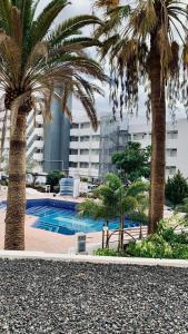 Las Americas Prime Suite Spot