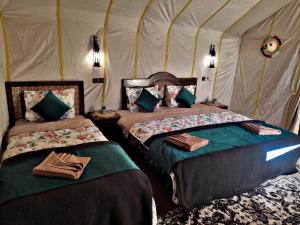 Camp Nomad