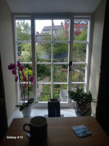 Hiraeth Homestay xxx