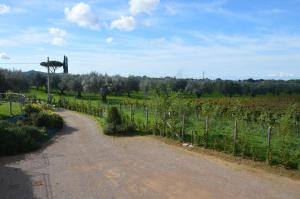 Podere le Bozze Camera "OLIVINA"