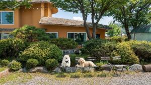 Daebudo Banditbul Pension