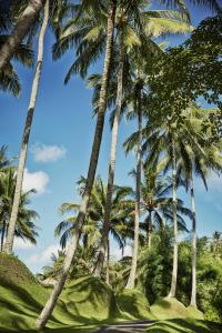 Sayan, Ubud, Bali 80571, Indonesia.