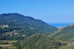 Lumira Vista Panorama