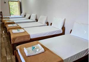 Ibbani Jungle Resort