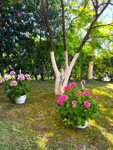 Dreamland Oasis Chakvi Block 3 Apartments 04-05