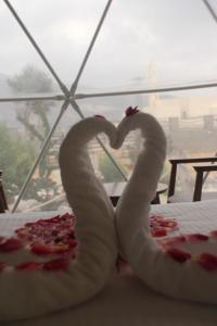 Jabal shams domes