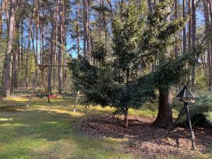 Ferienhaus im Wald
