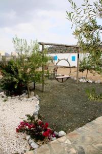 Jabal shams domes