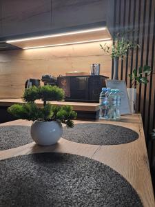 Classic&Modern Suite