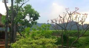 Ban Pleng Resort