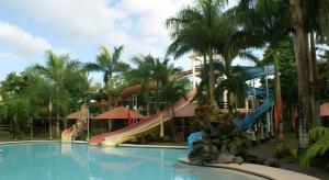 Pineapple Island Resort