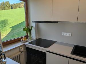 Ferienwohnung Bergzauber im Ferienpark Oberallgäu- Pool- Sauna- Bikepark- Skilift- Loipe- Wanderwege- stilvoll und kinderfreundlich