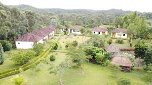 Andasibe Sifaka Lodge