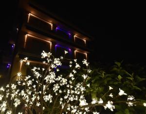 Hotel Villa Delibera