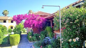 NEFELI House