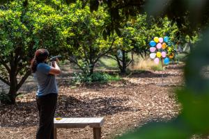 Palmwoods Retreat