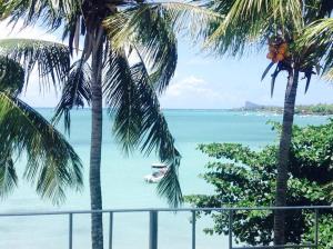 Ven OCEAN VIEW
