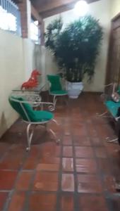 Casa para Festival de Parintins