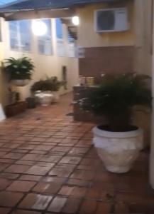 Casa para Festival de Parintins