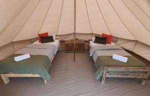 The Tree House Surf Camp