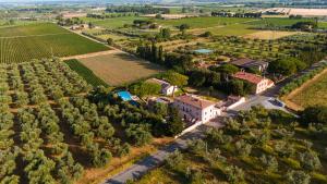 Podere le Bozze Camera "OLIVINA"