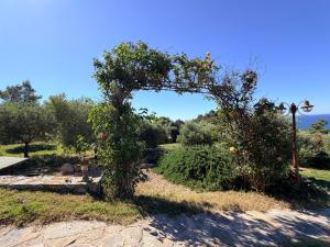 Villa Isola Rossa con Piscina
