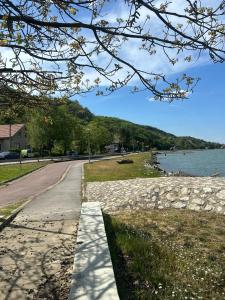 Diva Livings Golubac Terrace & Danube View Apartment