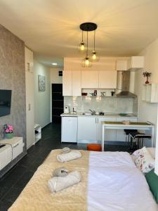 Diva Livings Golubac Terrace & Danube View Apartment
