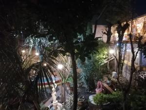 Suite La Vista