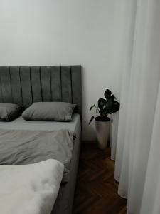 White Lounge Haustor