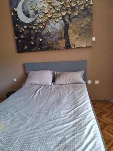 Golubac Bay Apartment