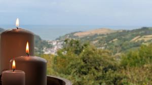 Bay View Cabins at Combe Martin Wildlife & Dinosaur Park - FREE ENTRY
