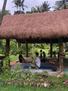 Aurora Eco stay