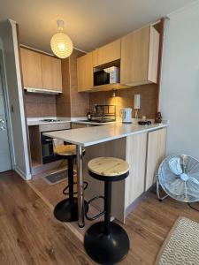 Cozy apartment in the middle of Santiago