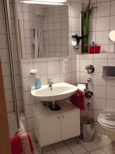 Elbappartement Dresden