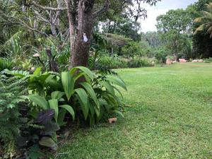 Aurora Eco stay