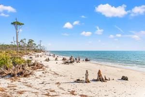 St Joe Beach House - Mutual Fun