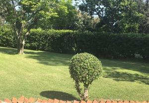 Villa delle Rose
